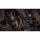  Gears of War Reloaded [ ] PS5 PPSA17525 - , ,     