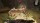  Baldurs Gate 3 Deluxe Edition [ ] PS5 - , ,     