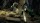  Code Vein [ ] Xbox One - , ,     