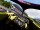���� F1 25 / Formula 1 2025 [���������� ������] PS5 PPSA24662 - ������, ��������, ������� � �������� �������� ������������