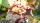  Guilty Gear Strive [ ] PS4 CUSA25325 - , ,     