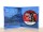���� Red Dead Redemption [������� ��������] PS5 PPSA30523 - ������, ��������, ������� � �������� �������� ������������