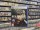  Metal Gear Solid Delta Snake Eater [ ] PS5 PPSA15304 - , ,     