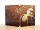  Empire of the Ants Limited Edition [ ] Xbox Series X - , ,     