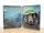  Dragons Dogma 2 Steelbook Edition [ ] Xbox Series X - , ,     