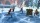  Jumanji Wild Adventures [ ] PS4 CUSA32105 - , ,     
