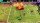  Mario Strikers: Battle League Football [ ] Nintendo Switch -    , , .   GameStore.ru  |  | 