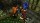  Marvel Ultimate Alliance [ ] PS3 BLES00013 - , ,     