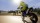  MotoGP 25 [ ] PS5 PPSA25319 - , ,     