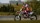  MotoGP 25 [ ] PS5 PPSA25319 - , ,     