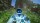  Astro Bot Rescue Mission [  PS VR] [ ] PS4 CUSA12392 -    , , .   GameStore.ru  |  | 