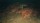  Saint Kotar [ ] PS5 PPSA06716 -    , , .   GameStore.ru  |  | 
