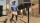  Saints Row 2022 Notorious Edition (PS4 ,  ) -    , , .   GameStore.ru  |  | 