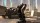  Spec Ops: The Line (Xbox 360,  ) - , ,     