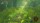  Legend of Zelda Breath of the Wild Switch 2 Edition [ ] Nintendo Switch 2 - , ,     