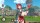  Atelier Sophie 2: The Alchemist of the Mysterious Dream [ ] Nintendo Switch -    , , .   GameStore.ru  |  | 