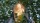  Death Stranding Directors Cut [ ] PS5 PPSA01968 -    , , .   GameStore.ru  |  | 