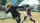 Naruto Shippuden Ultimate Ninja Storm 4 Road to Boruto [ ] PS4 CUSA06210 -    , , .   GameStore.ru  |  | 